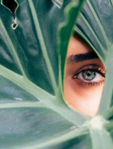An eye behind a big green leaf. In this case, depicting the public and private organisations watching out for ESG and sustainable initiatives.