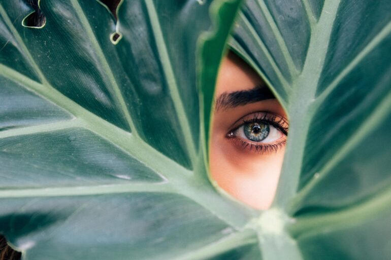 An eye behind a big green leaf. In this case, depicting the public and private organisations watching out for ESG and sustainable initiatives.