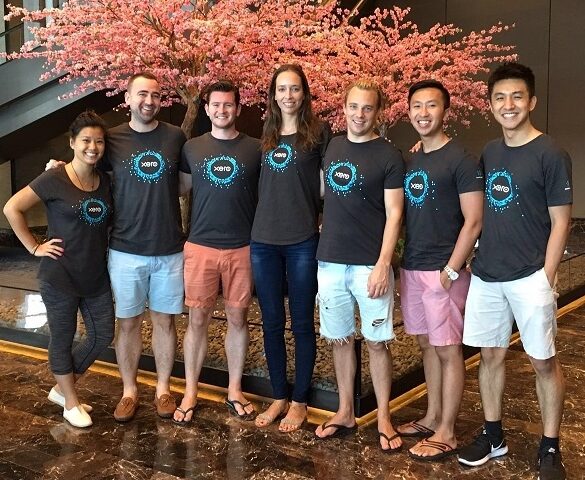 Xero team
