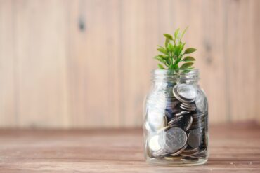 Photo of a coin jar with a green plant sticking out of the top