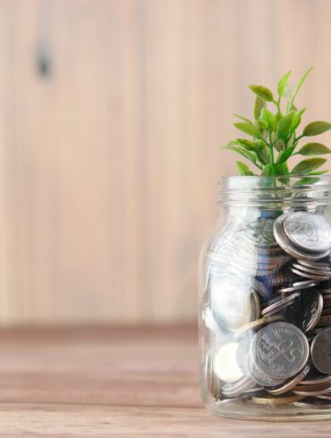 Photo of a coin jar with a green plant sticking out of the top