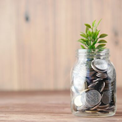 Photo of a coin jar with a green plant sticking out of the top