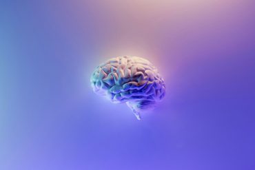 A clean blue brain with a purple graded background, depicting the mind of artificial intelligence